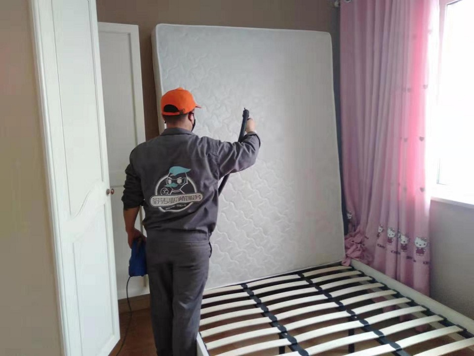 臥室床墊重點污染源噴涂治理甲醛 臥室床墊重點污染源噴涂治理甲醛